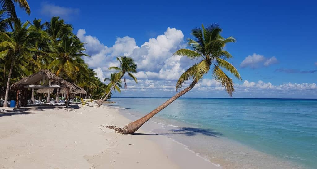 Plage de sable fin paradisiaque en Martinique