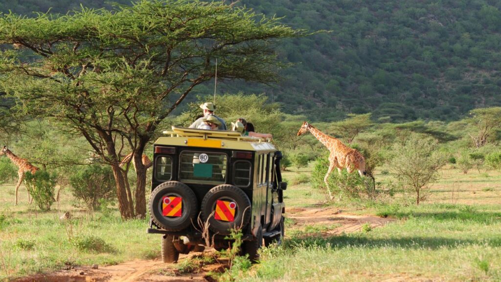 Safari Kenya Big Five