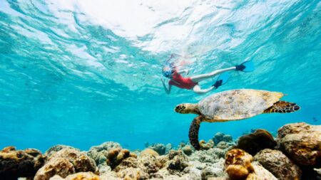 endroits de rêve pour nager, Maldives, mer rouge